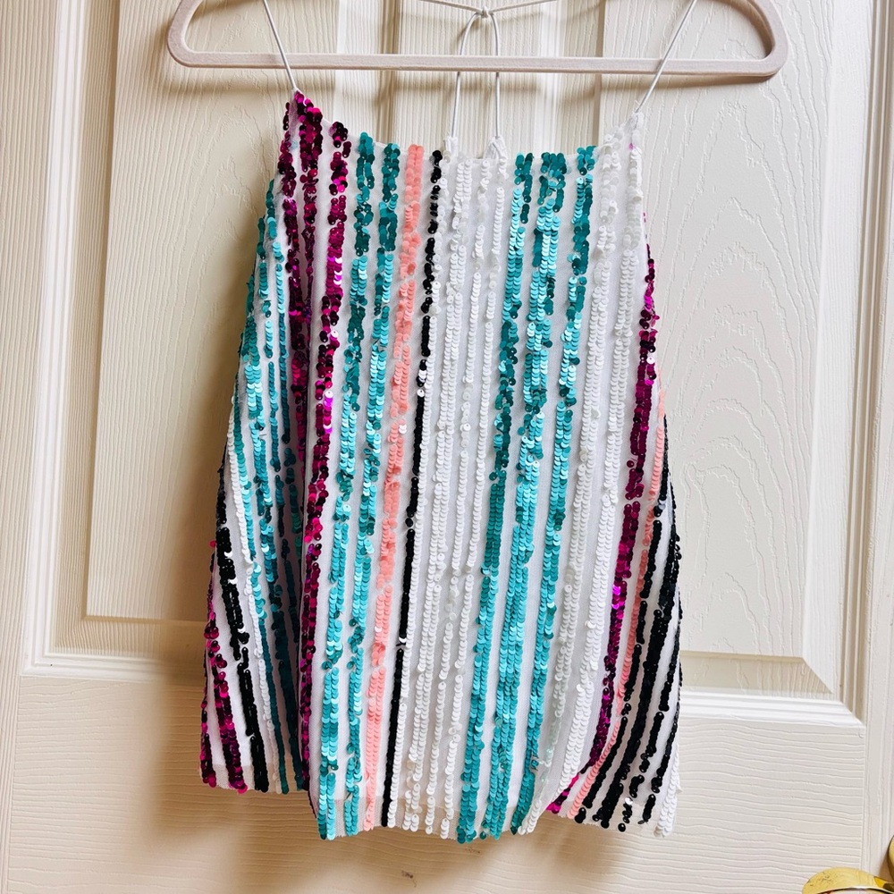 Multicolor Sequin Striped Skirt
